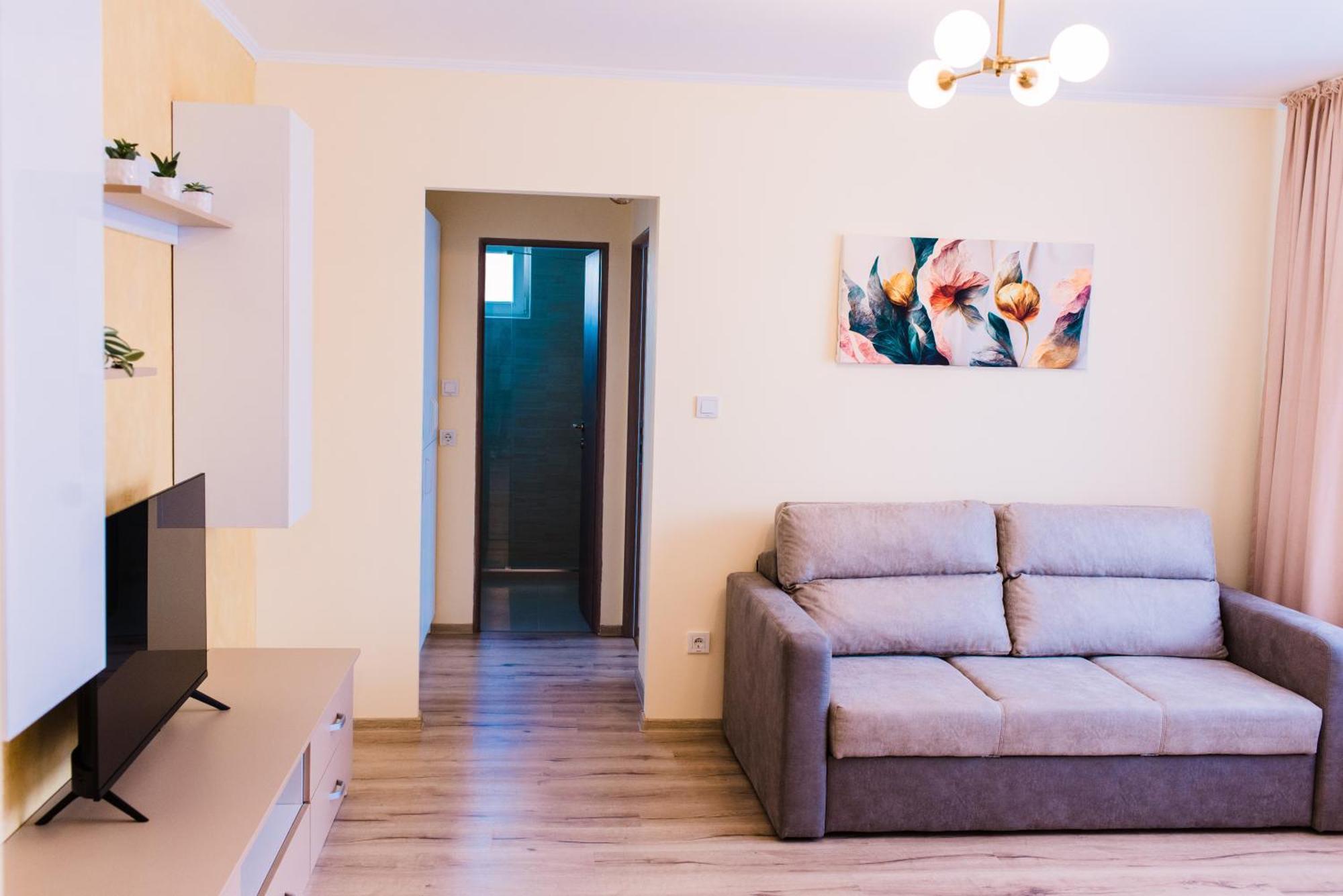 Central White Apartment Satu Mare Exterior photo