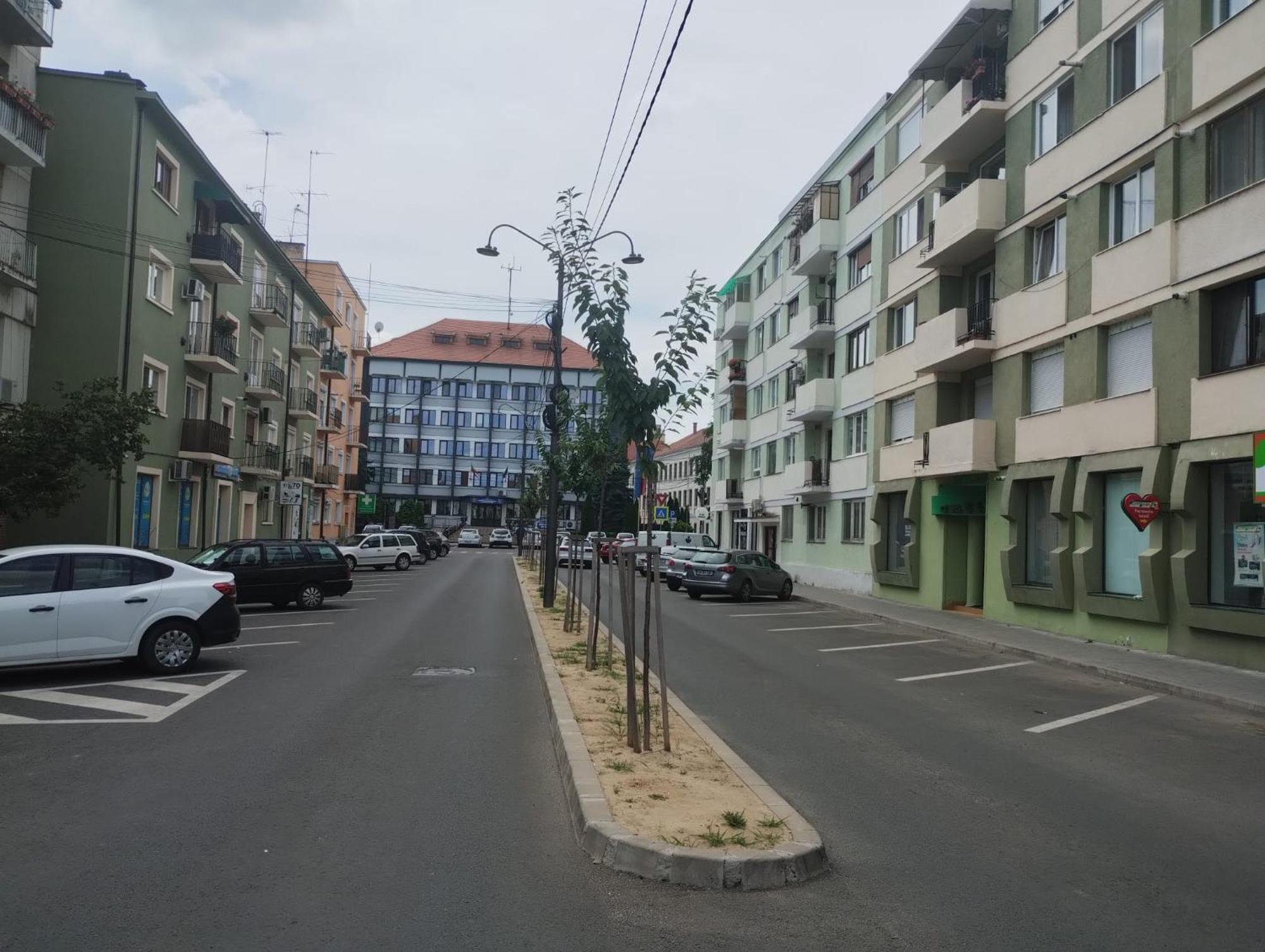 Central White Apartment Satu Mare Exterior photo